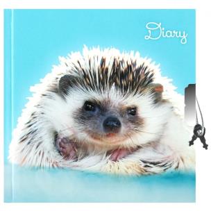 Opakowanie Pamiętnik zamykany Jeż