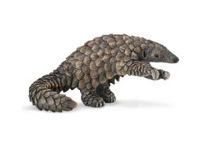 Opakowanie Pangolin