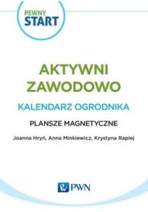 Pewny Start. Aktywni zawodowo.Kalendarz...Plansze. Autor: Lidia Klaro-Celej Szostak Barbara. Multiszop.pl Okładka książki Pewny Start. Aktywni zawodowo.Kalendarz...Plansze