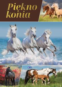 Piękno konia. Autor: Opracowanie zbiorowe. Multiszop.pl Okładka książki Piękno konia