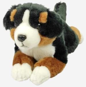 Opakowanie Pies berneński 40cm