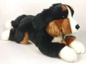 Opakowanie Pies berneński 61cm