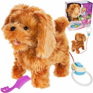 Opakowanie Pies chodzący na smyczy