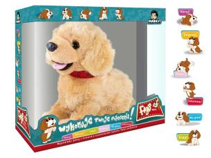 Opakowanie Pies Figo interaktywny