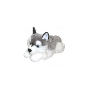 Opakowanie Pies Husky 42cm