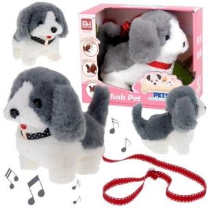 Opakowanie Pies interaktywny