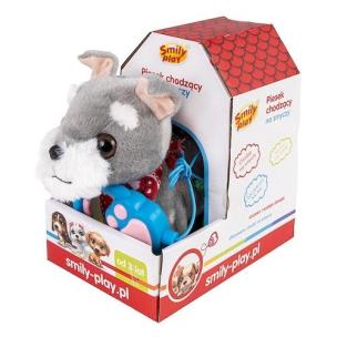 Piesek chodzący na smyczy. Wydawca: Anek. Multiszop.pl Opakowanie Piesek chodzący na smyczy