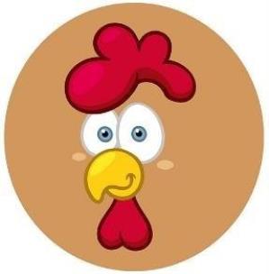 Opakowanie Piłka PVC 230MM - Kogucik