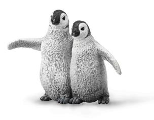Opakowanie Pingwin cesarski młode