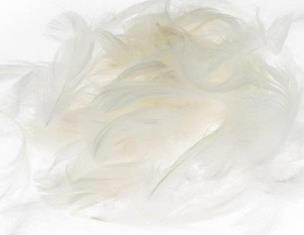 Opakowanie Pióra białe 5-12cm 7g