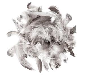 Opakowanie Pióra Kacze 5-12cm 5g