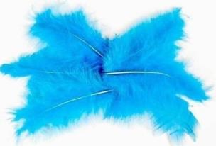 Opakowanie Piórka 10g 5-12cm