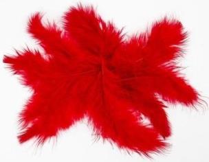 Opakowanie Piórka 10g