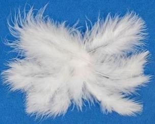 Opakowanie Piórka 10g