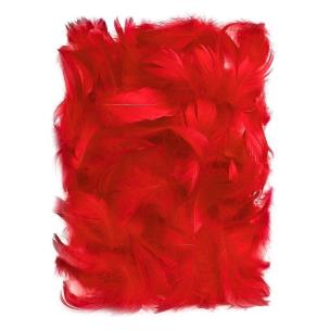 Opakowanie Piórka 5-12 cm 10g red