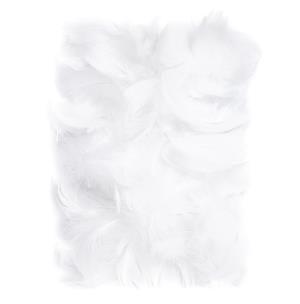 Opakowanie Piórka 5-12 cm 10g white