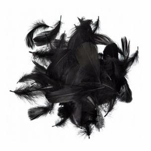 Opakowanie Piórka czarne 5-12cm 10g