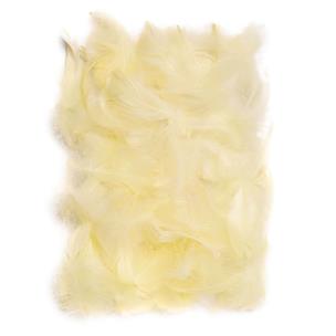 Piórka ecru 5-12cm 10g. Wydawca: DP CRAFT. Multiszop.pl Opakowanie Piórka ecru 5-12cm 10g