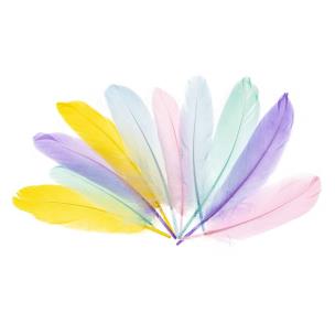 Opakowanie Piórka gęsie 15-20cm pastelowe