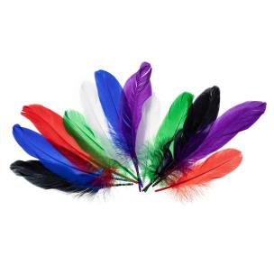 Opakowanie Piórka gęsie jaskrawe 15-20cm