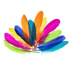 Opakowanie Piórka gęsie nenowy 15-20cm