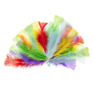 Opakowanie Piórka indycze 10-15cm pastelowe
