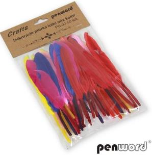 Opakowanie Piórka lotki mix 10-15cm 50szt