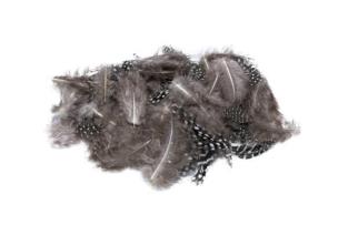 Opakowanie Piórka nakrapiane czarne 3g