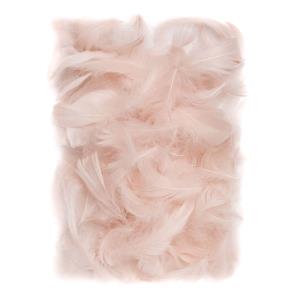 Piórka nude 5-12cm 10g. Wydawca: DP CRAFT. Multiszop.pl Opakowanie Piórka nude 5-12cm 10g