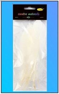 Opakowanie Piórka twarde białe 10szt