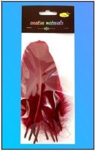 Opakowanie Piórka twarde bordowe 10szt