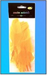 Opakowanie Piórka twarde brzoskwiniowe 10szt