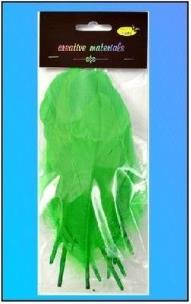 Opakowanie Piórka twarde jasnozielone 10szt