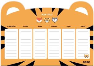 Opakowanie Plan lekcji A4 Friends Boys (10szt)