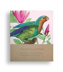 Okładka książki Plants and animals