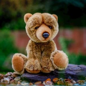 Pluszowy niedźwiedź Grizli. Wydawca: One for Fun. Multiszop.pl Opakowanie Pluszowy niedźwiedź Grizli