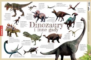 Podkładka na biurko dinozaury i inne gady. Autor: Opracowanie zbiorowe. Multiszop.pl Okładka książki Podkładka na biurko dinozaury i inne gady