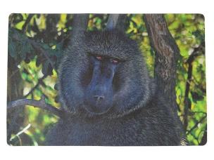 Opakowanie Podkładka na biurko piankowa małpa 60x40cm