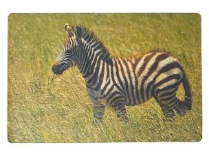 Opakowanie Podkładka na biurko piankowa zebra 60x40cm