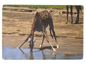 Opakowanie Podkładka na biurko piankowa żyrafa 60x40cm