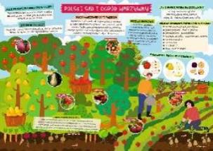 Opakowanie Podkładka na biurko - Sad i ogród warzywny