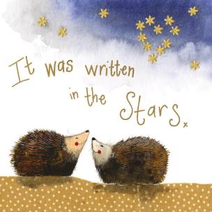 Opakowanie Podkładka pod kubek C103 Jeżyki nocą