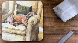 Opakowanie Podkładka pod kubek C167 Pies Walter