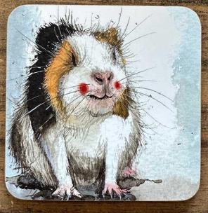 Opakowanie Podkładka pod kubek C240 Świnka morska