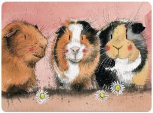 Opakowanie Podkładka pod talerz MT33 Świnki morskie