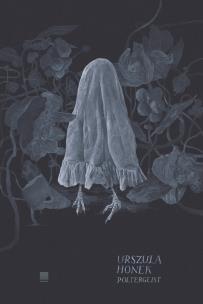 Okładka książki Poltergeist
