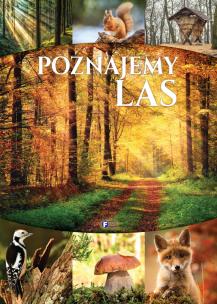 Poznajemy las - uszkodzone. Autor: Opracowanie zbiorowe. Multiszop.pl Okładka książki Poznajemy las - uszkodzone