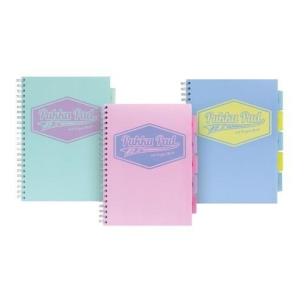 Opakowanie Project Book Pastel A4/100K linia mix (3szt)