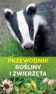 Przewodnik rośliny i zwierzęta. Autor: Stichmann-Marny Ursula, Kretzschmar Erich. Multiszop.pl Okładka książki Przewodnik rośliny i zwierzęta