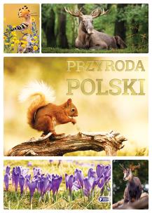 Przyroda Polski. Autor: Opracowanie zbiorowe. Multiszop.pl Okładka książki Przyroda Polski